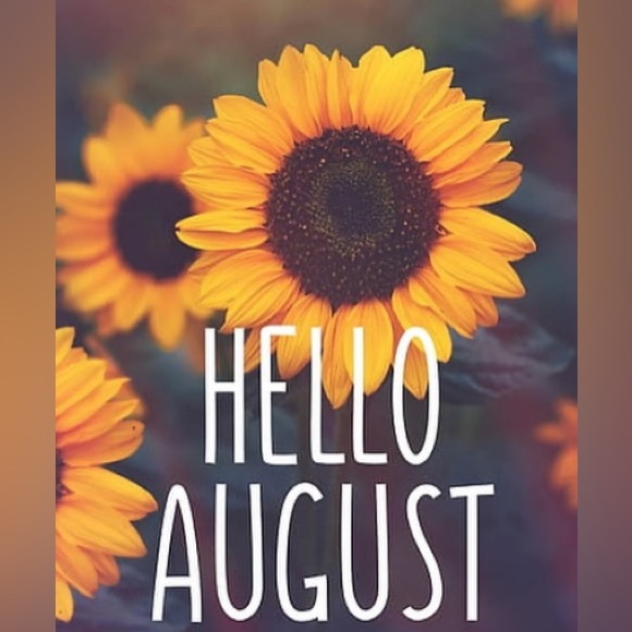 HELLO NOVEMBER - Picture 4 of 7